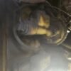 1992 Case 721 brake master cylinder, Case 721 brake master cylinder, Case 721 brake actuator, Case wheel loader parts, Case 721 parts, OEM L125170, L125170 brake master cylinder, used Case parts, used brake master cylinder, Case heavy equipment parts